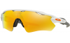 Gallery thumbnail for /media/thumbs/100x62.5/media/luximages/0OO9208__920816_030Afw100fh62.5.png