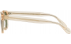 Gallery thumbnail for /media/thumbs/100x62.5/media/luximages/0OV5036S__158052_090Afw100fh62.5.png