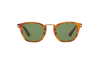 Gallery thumbnail for /media/thumbs/100x62.5/media/luximages/0PO3110S__96_4E_000Afw100fh62.5.png