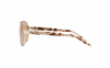 Gallery thumbnail for /media/thumbs/100x62.5/media/luximages/0RA4004__9001R1_090Afw100fh62.5.png