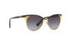 Gallery thumbnail for /media/thumbs/100x62.5/media/luximages/0RA4128__93808G_330Afw100fh62.5.png