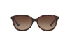 Gallery thumbnail for /media/thumbs/100x62.5/media/luximages/0RA5222__137813_000Afw100fh62.5.png