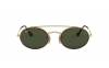 Gallery thumbnail for /media/thumbs/100x62.5/media/luximages/0RB3847N__912131_000Afw100fh62.5.png