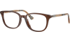 Gallery thumbnail for /media/thumbs/100x62.5/media/product_images/Burberry-Glasses-BE2434D-4243fw100fh62.5.png