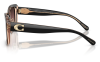 Gallery thumbnail for /media/thumbs/100x62.5/media/product_images/Caoch-Sunglasses-HC8352-5781E2-Cfw100fh62.5.png