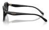 Gallery thumbnail for /media/thumbs/100x62.5/media/product_images/Caoch-Sunglasses-HC8437U-50023C-Cfw100fh62.5.png