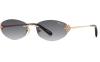 Gallery thumbnail for /media/thumbs/100x62.5/media/product_images/Chopard-Sunglasses-SCHM94S-300Ffw100fh62.5.jpg