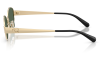 Gallery thumbnail for /media/thumbs/100x62.5/media/product_images/Coach-Sunglasses-HC7192D-900571-Dfw100fh62.5.png