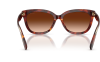 Gallery thumbnail for /media/thumbs/100x62.5/media/product_images/Coach-Sunglasses-HC8453U-593874-Cfw100fh62.5.png
