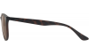 Gallery thumbnail for /media/thumbs/100x62.5/media/product_images/Dirty-Dog-Sunglasses-53607-cfw100fh62.5.png
