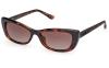 Gallery thumbnail for /media/thumbs/100x62.5/media/product_images/Guess-Sunglasses-GU00156-H-52Ffw100fh62.5.jpg