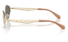Gallery thumbnail for /media/thumbs/100x62.5/media/product_images/Michael-Kors-Sunglasses-MK1181-10144T-Dfw100fh62.5.png