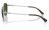 Gallery thumbnail for /media/thumbs/100x62.5/media/product_images/Polo-Ralph-Lauren-Sunglasses-PH3163-926671-Cfw100fh62.5.png