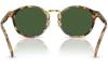Gallery thumbnail for /media/thumbs/100x62.5/media/product_images/Polo-Ralph-Lauren-Sunglasses-PH4230-500471-dfw100fh62.5.jpg