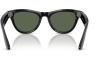 Gallery thumbnail for /media/thumbs/100x62.5/media/product_images/RW4014-601-71-cfw100fh62.5.png