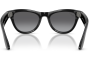 Gallery thumbnail for /media/thumbs/100x62.5/media/product_images/RW4014-601-T3-cfw100fh62.5.png