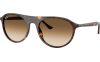 Gallery thumbnail for /media/thumbs/100x62.5/media/product_images/Ray-Ban-RB2215__902_51-qtfw100fh62.5.png