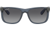 Gallery thumbnail for /media/thumbs/100x62.5/media/product_images/Ray-Ban-RB4165-6596T3-bfw100fh62.5.png