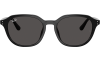 Gallery thumbnail for /media/thumbs/100x62.5/media/product_images/Ray-Ban-RB4459D__901_87-frfw100fh62.5.png