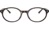Gallery thumbnail for /media/thumbs/100x62.5/media/product_images/Ray-Ban-RX5429__2012__frfw100fh62.5.png