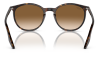Gallery thumbnail for /media/thumbs/100x62.5/media/product_images/Ray-Ban-Sun-RB2204-902-51-dfw100fh62.5.png