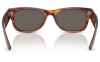 Gallery thumbnail for /media/thumbs/100x62.5/media/product_images/Ray-Ban-Sunglasses-RB0832S-954-B1-Cfw100fh62.5.png