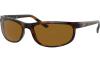 Gallery thumbnail for /media/thumbs/100x62.5/media/product_images/Ray-Ban-Sunglasses-RB2027-650833-temp2fw100fh62.5.jpg