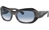 Gallery thumbnail for /media/thumbs/100x62.5/media/product_images/Ray-Ban-Sunglasses-RB2212__14043F-afw100fh62.5.jpg