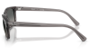 Gallery thumbnail for /media/thumbs/100x62.5/media/product_images/Ray-Ban-Sunglasses-RB2224-667571-Dfw100fh62.5.png