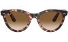 Gallery thumbnail for /media/thumbs/100x62.5/media/product_images/Ray-Ban-Sunglasses-RB2241__133451fw100fh62.5.jpg