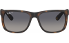 Gallery thumbnail for /media/thumbs/100x62.5/media/product_images/Ray-Ban-Sunglasses-RB4165-865-8S-frfw100fh62.5.png