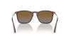 Gallery thumbnail for /media/thumbs/100x62.5/media/product_images/Ray-Ban-Sunglasses-RB4187-6593T5-dfw100fh62.5.jpg