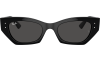 Gallery thumbnail for /media/thumbs/100x62.5/media/product_images/Ray-Ban-Sunglasses-RB4430-667787-Bfw100fh62.5.png