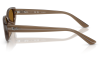 Gallery thumbnail for /media/thumbs/100x62.5/media/product_images/Ray-Ban-Sunglasses-RB4457D-677983-Dfw100fh62.5.png