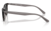 Gallery thumbnail for /media/thumbs/100x62.5/media/product_images/Ray-Ban-Sunglasses-RB4474D-667511-Dfw100fh62.5.png