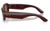 Gallery thumbnail for /media/thumbs/100x62.5/media/product_images/Ray-Ban-Sunglasses-RB4944-687773-cfw100fh62.5.png