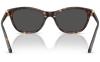 Gallery thumbnail for /media/thumbs/100x62.5/media/product_images/Swarovski-Sunglasses-SK6070-100287-Dfw100fh62.5.jpg