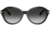 Gallery thumbnail for /media/thumbs/100x62.5/media/product_images/Tiffany-and-Co-Sunglasses-TF4259-80013C-Bfw100fh62.5.png