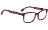 Gallery thumbnail for /media/thumbs/100x62.5/media/product_images/kate-spade-new-york-Glasses-KS-LUCYANN-4-G-HT8-P01fw100fh62.5.jpg