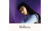 Gallery thumbnail for /media/thumbs/100x62.5/media/product_images/mulberry-opt950x950fw100fh62.5.jpg