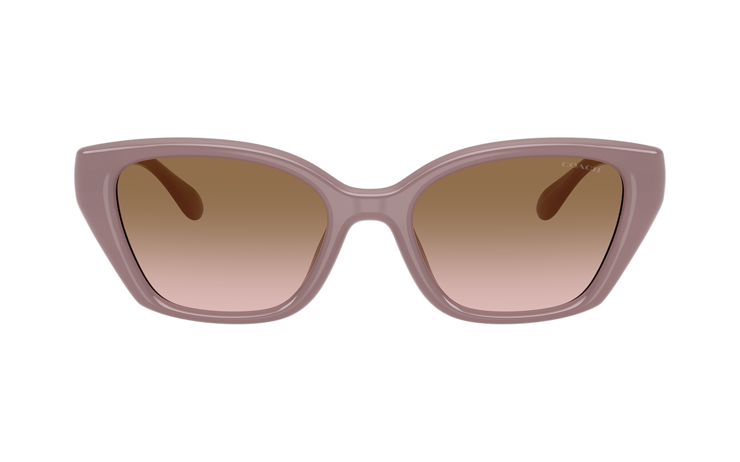 Gallery image for /media/thumbs/100x62.5/media/product_images/Caoch-Sunglasses-HC8434U-549511-Bfw100fh62.5.png