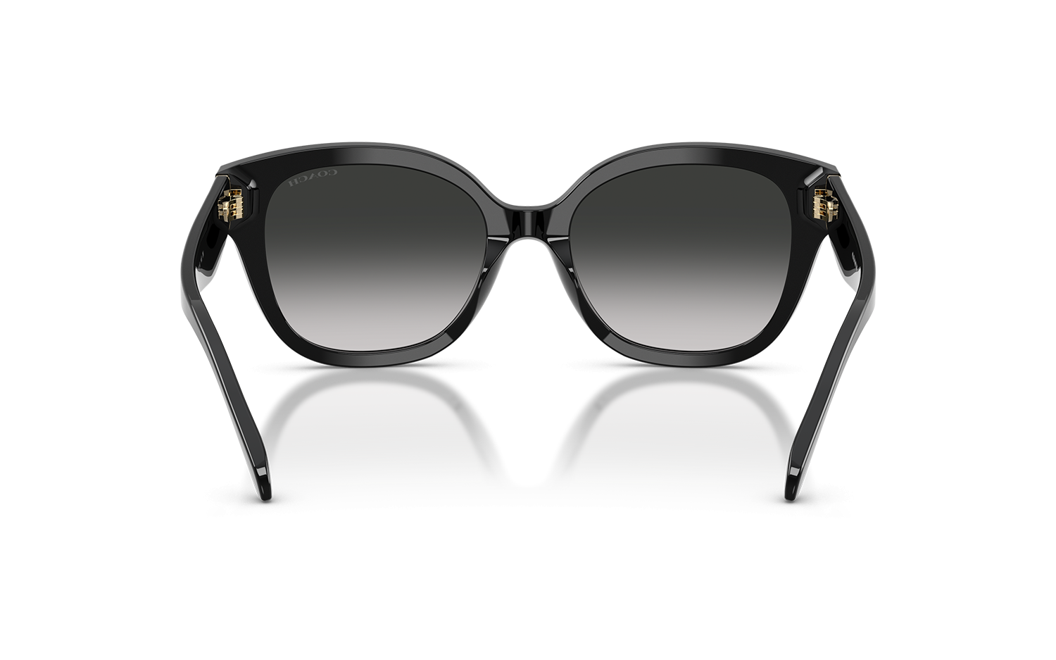 Gallery image for /media/thumbs/100x62.5/media/product_images/Caoch-Sunglasses-HC8438U-500287-Dfw100fh62.5.png