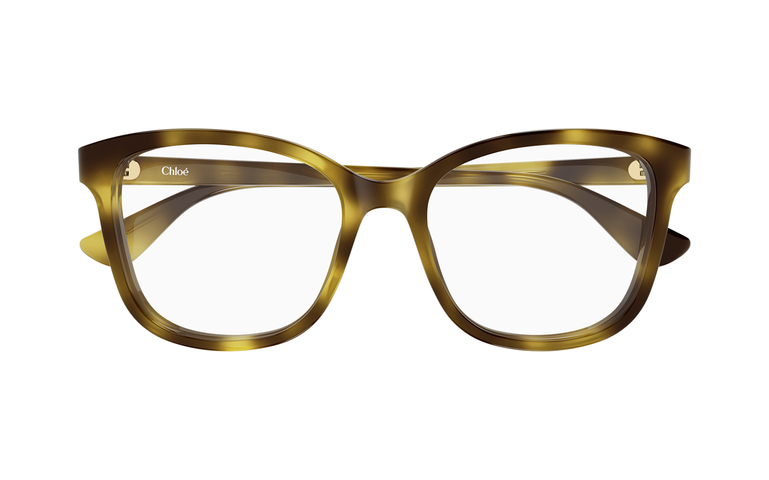 Gallery image for /media/thumbs/100x62.5/media/product_images/Chloe-Sunglasses-CH0393O-002-bfw100fh62.5.png