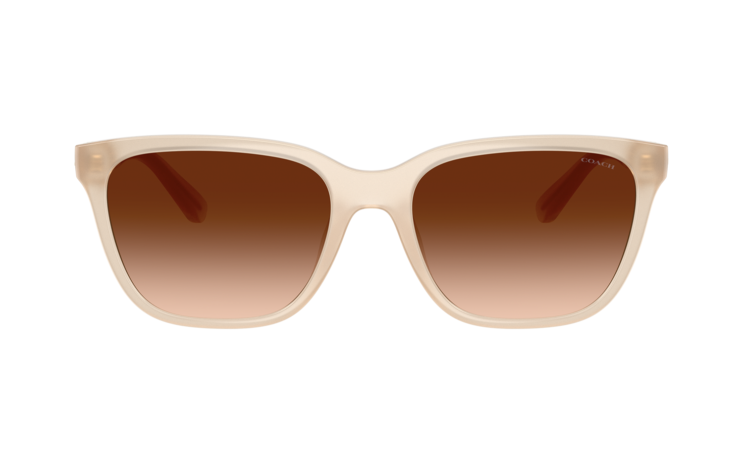 Gallery image for /media/thumbs/100x62.5/media/product_images/Coach-HC8429D__588374__frfw100fh62.5.png