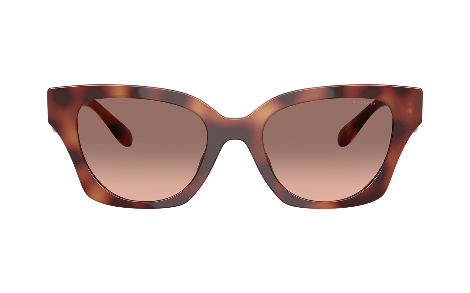 Gallery image for /media/thumbs/100x62.5/media/product_images/Coach-Sunglasses-HC8418U-577413-Bfw100fh62.5.png