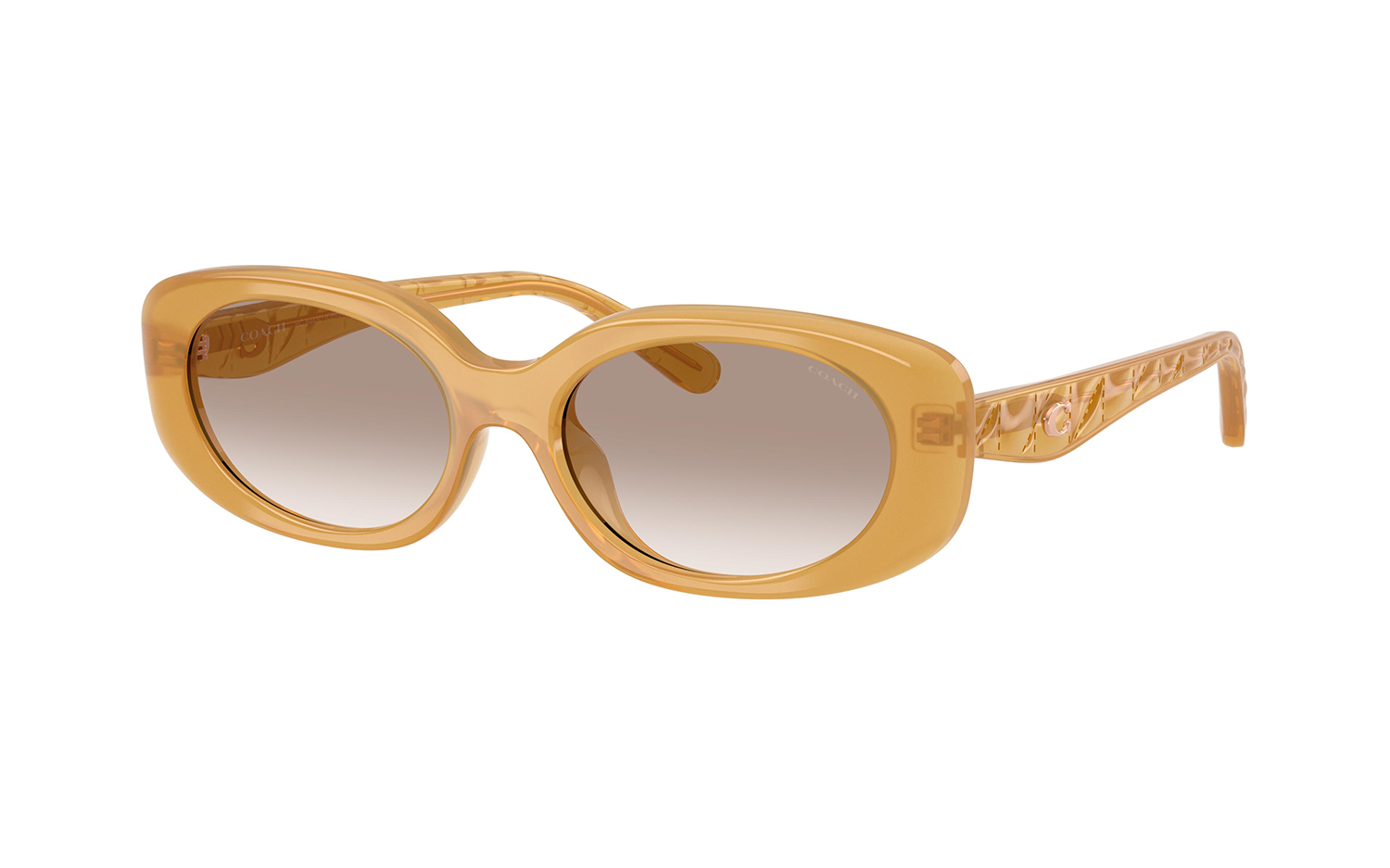 Gallery image for /media/thumbs/100x62.5/media/product_images/Coach-Sunglasses-HC8443D-591313fw100fh62.5.png