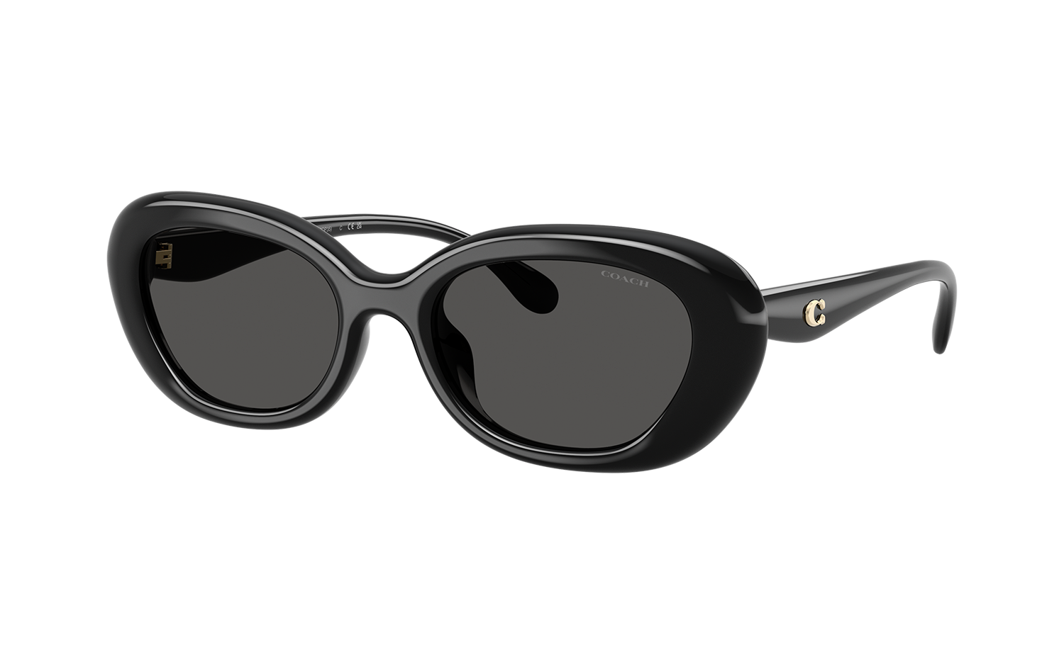 Gallery image for /media/thumbs/100x62.5/media/product_images/Coach-Sunglasses-HC8448U-500287-Afw100fh62.5.png