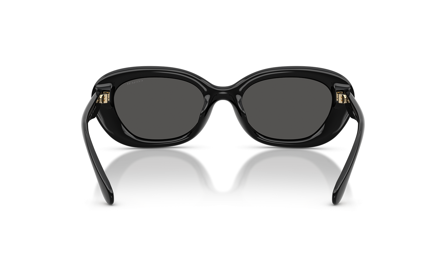 Gallery image for /media/thumbs/100x62.5/media/product_images/Coach-Sunglasses-HC8448U-500287-Cfw100fh62.5.png