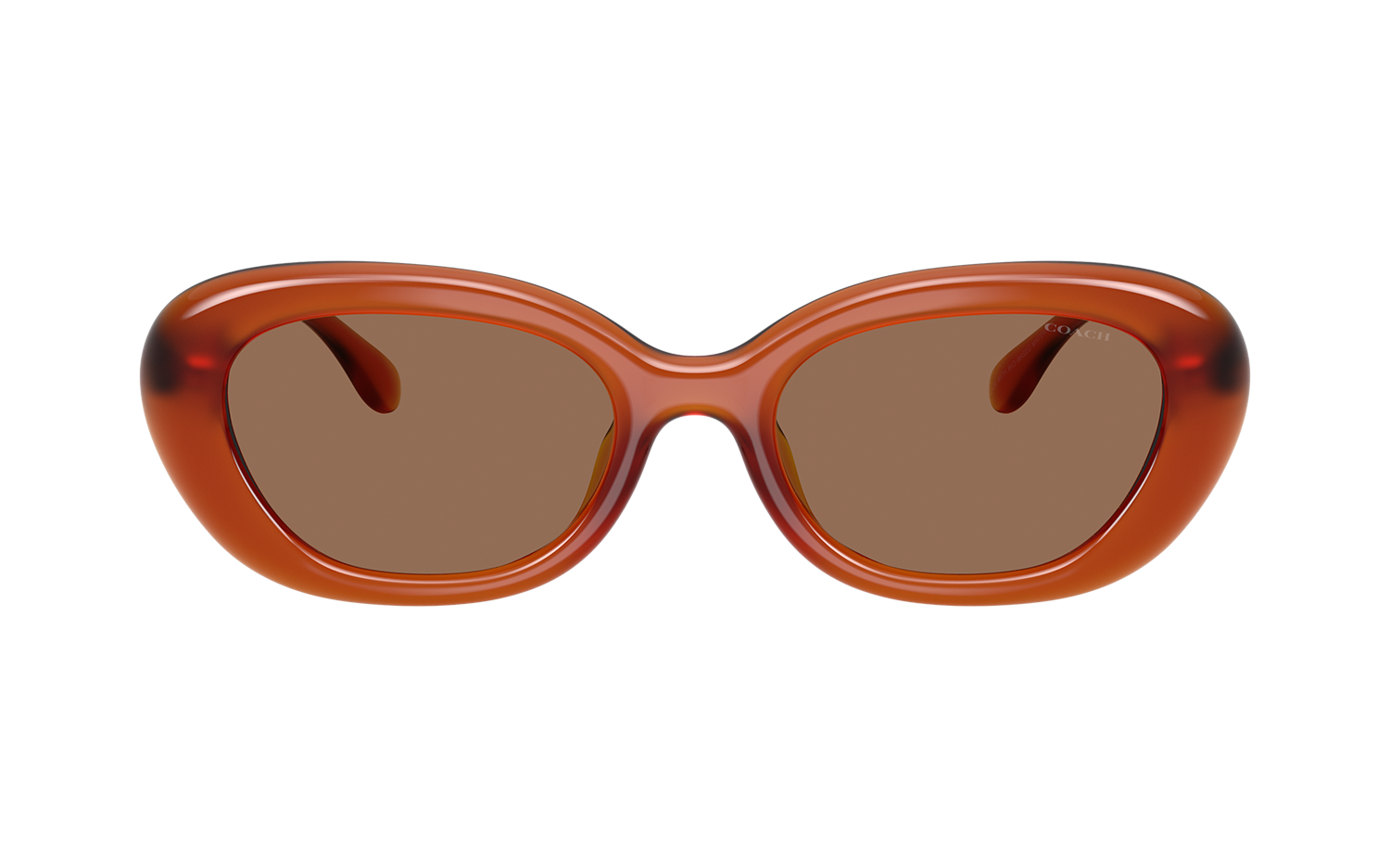Gallery image for /media/thumbs/100x62.5/media/product_images/Coach-Sunglasses-HC8448U-593073-Bfw100fh62.5.png
