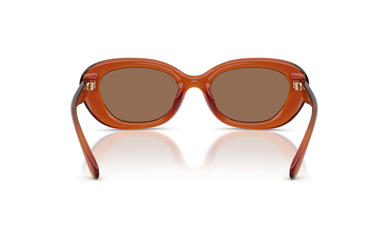 Gallery image for /media/thumbs/100x62.5/media/product_images/Coach-Sunglasses-HC8448U-593073-Cfw100fh62.5.png